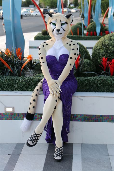 sexy furry cosplay|Cosplay Girls .